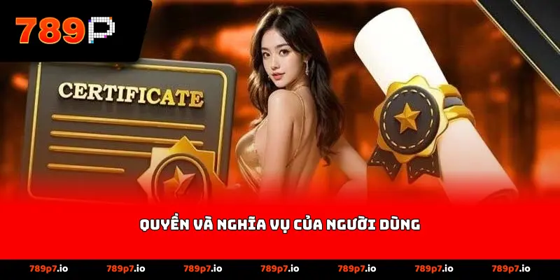 Quyền và nghĩa vụ của người dùng